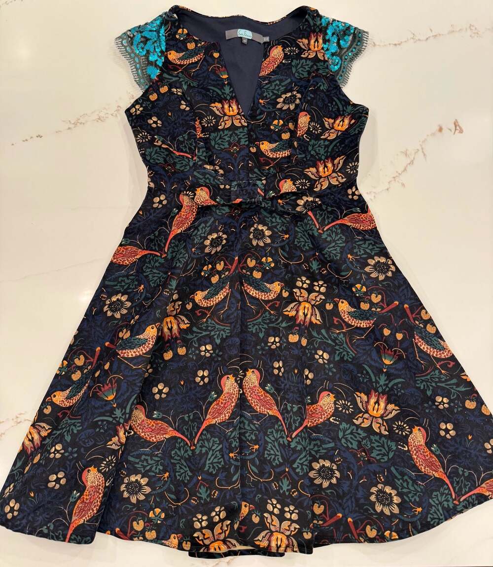 Anthropologie Eva Franco Larksong Corduroy Bird Sequin Dress - Picture 1 of 4